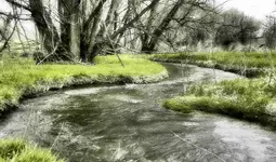 coal creek 041016 1.webp