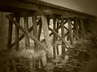 coal creek 041016 2.webp