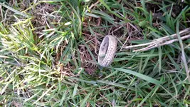 20160410_182135.webp 20160410_182135.webp