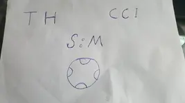 shenja.webp