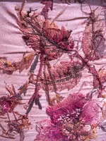 cloth 008.webp cloth 008.webp