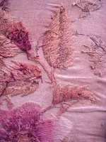 cloth 015.webp cloth 015.webp