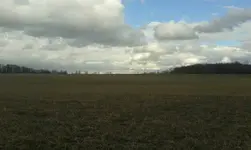 1459196665257.webp