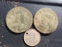 all coins.webp
