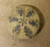 20160402 Flower Button uncleaned.webp
