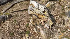 20160327_145007.webp