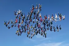 skydive5n-1-web.webp