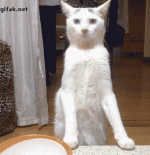 heheheaster-9.gif