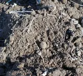 DSCN1958.webp