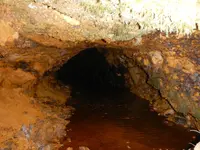 aDSCN1160.webp
