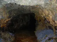 aDSCN1165.webp