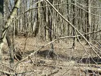 DSCF0004.webp