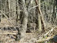 DSCF0005.webp