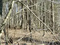 DSCF0006.webp