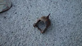 DSC00213.webp