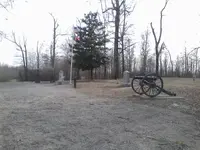1457387993669.webp