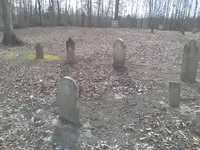 1457388052980.webp