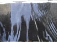 DSCF0334.webp