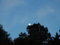 Moon 2.webp