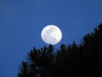 Moon 2a.webp