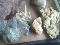 ImageUploadedByTreasureNet.com1461700477.900586.webp