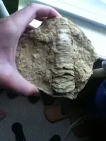 ImageUploadedByTreasureNet.com1461700780.199912.webp