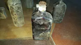 1459211618596.webp