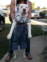 DSCF3140.webp