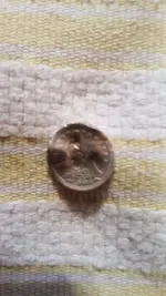 Half Dime.webp