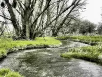 coal creek 041116 3.webp