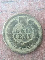 ImageUploadedByTreasureNet.com1457987796.697563.webp