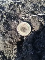ImageUploadedByTreasureNet.com1458604217.288843.webp ImageUploadedByTreasureNet.com1458604217.288843.webp