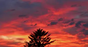DSCN0030.webp