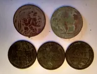 031316finds.webp