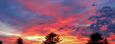 DSCN0029.webp