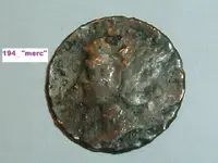 DSCF3546.webp