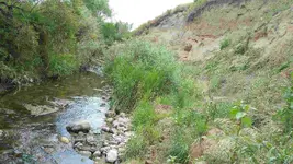 secretcreek.webp