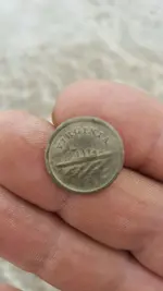 coin.webp