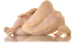 sexy_chicken.webp