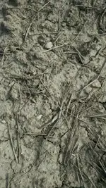 1461719144081.webp