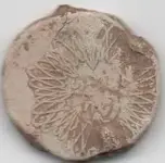 seal back 001.webp