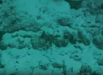 Video-cannons01.webp