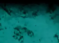 Video-cannons3C.webp