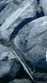Screenshot_2016-03-07-21-10-48.webp