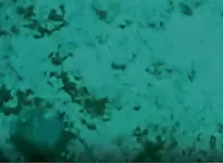 Video-cannons8C.webp