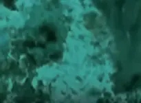 Video-cannons9A.webp