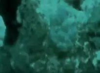 Video-cannons9C.webp