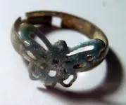 Ring 042016.webp