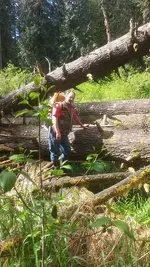 20160425_104136.webp