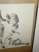 DSCN2570.webp